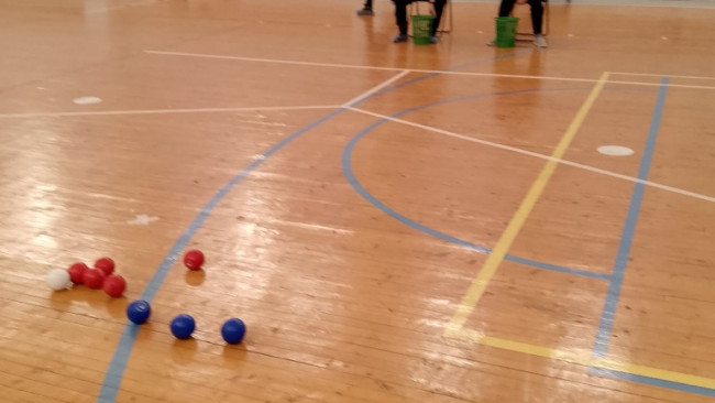 Паралимпийская игра Бочча в Усть-Кубинском округе